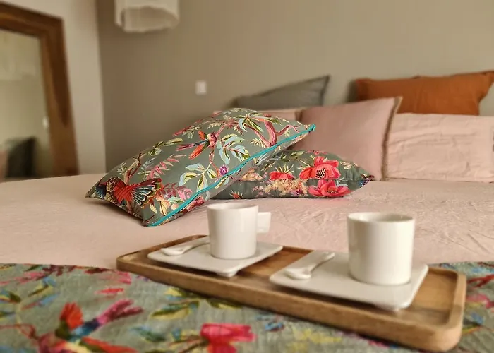 Aparthotel La Maison De Lyna - De Charme Intra-muros Avec Parking & Autonomie 4*